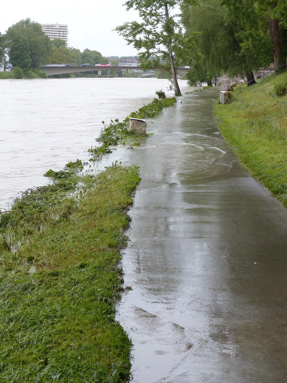Home flood, danube, ulm, rainy weather, cloudy, rain, wet, precipitation, flooding, water, water level, peak, flow, riverside, catastrophe, flood disaster, storm, force of nature, civil protection, flood of the century, climate change, city, nature, houses, locality