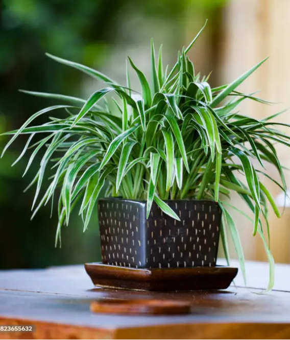 screenshot 2025 11 14 145844