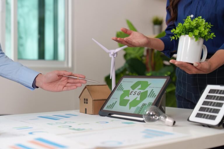 Sustainability Consulting